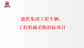 德勝集團(tuán)工程車輛、工程機(jī)械采購(gòu)招標(biāo)項(xiàng)目